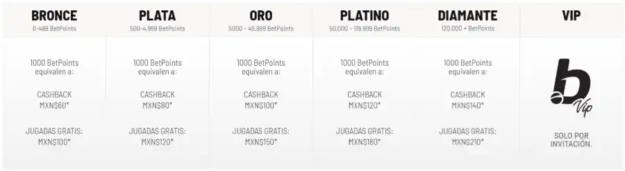 Programa VIP